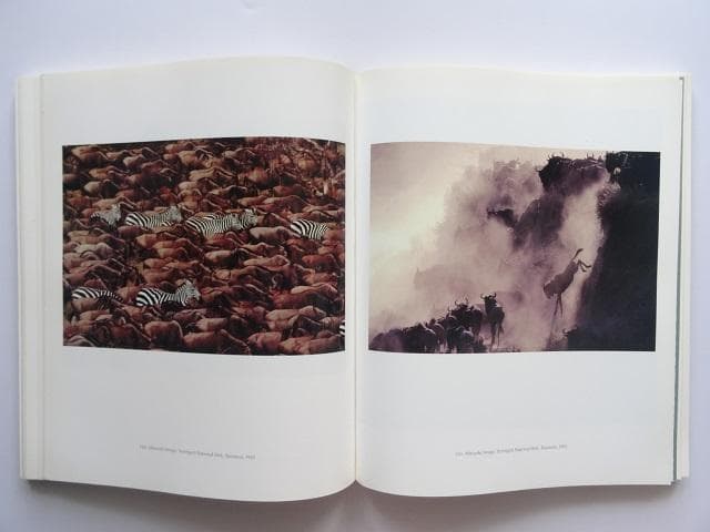 洋書◆ナショナルジオグラフィックのアート写真作品集 本 風景 景色 人物