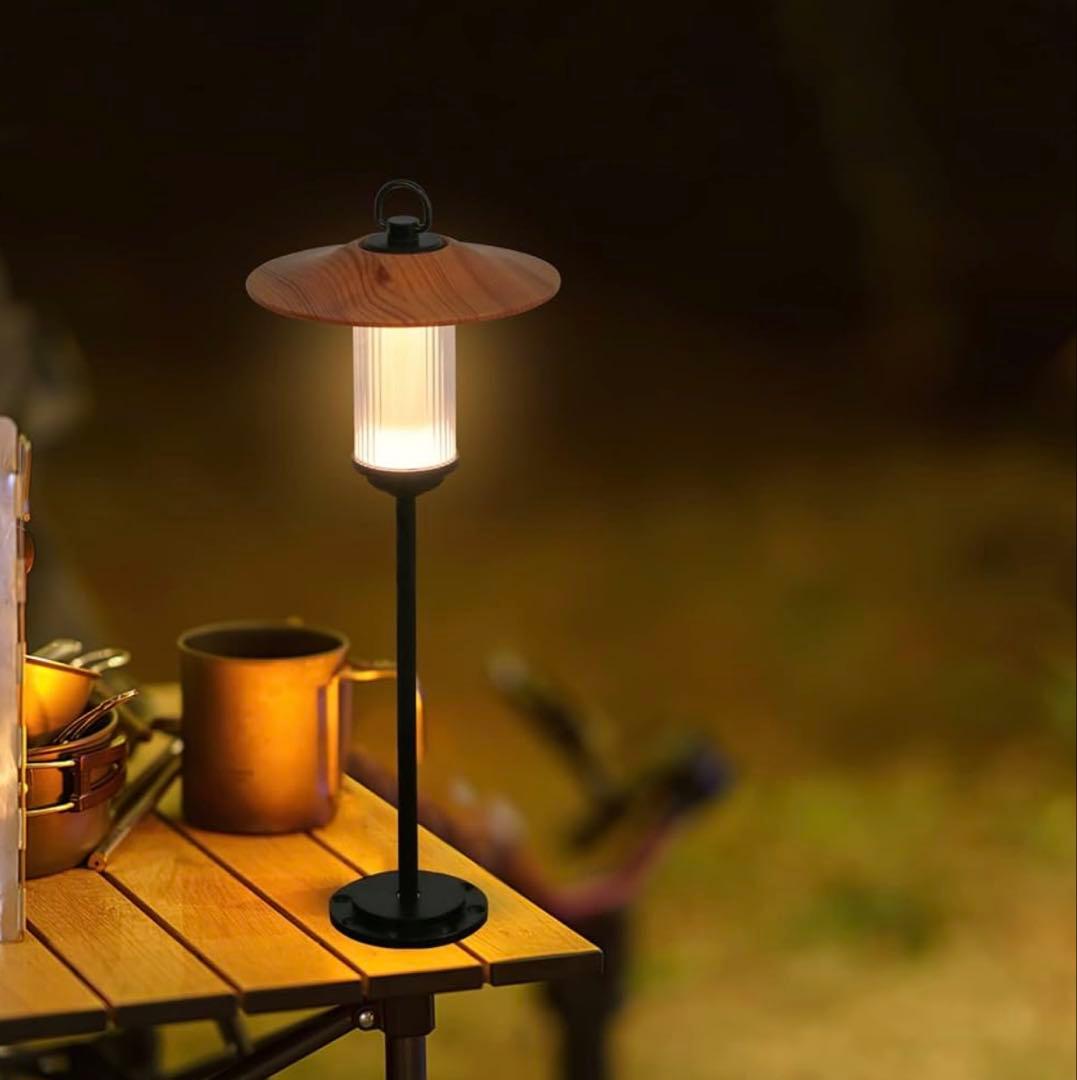 未使用セット GOAL ZERO Lighthouse Micro LEDライト