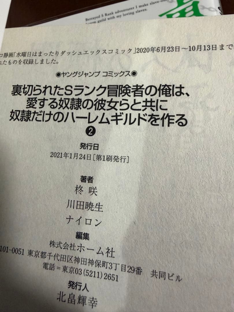 裏切られたSランク冒険者の俺は、愛する奴隷の彼女らと共に奴隷だけのハーレムギル…