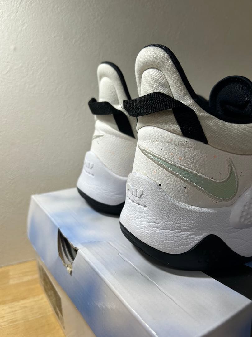 シューズ(男性用) Nike pg5