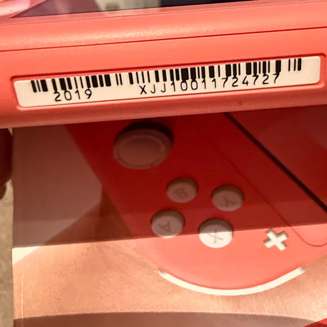 Nintendo Switch Lite 美品 microSD256GB付