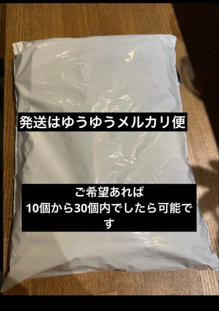 プラグポーチ ルアーケース ヒラマサキャスティング