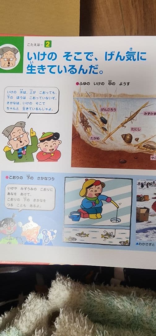 ことばの絵本・なぜなぜ？クイズ絵本シリーズ、ふしぎの・くらべる・ことばのじてん