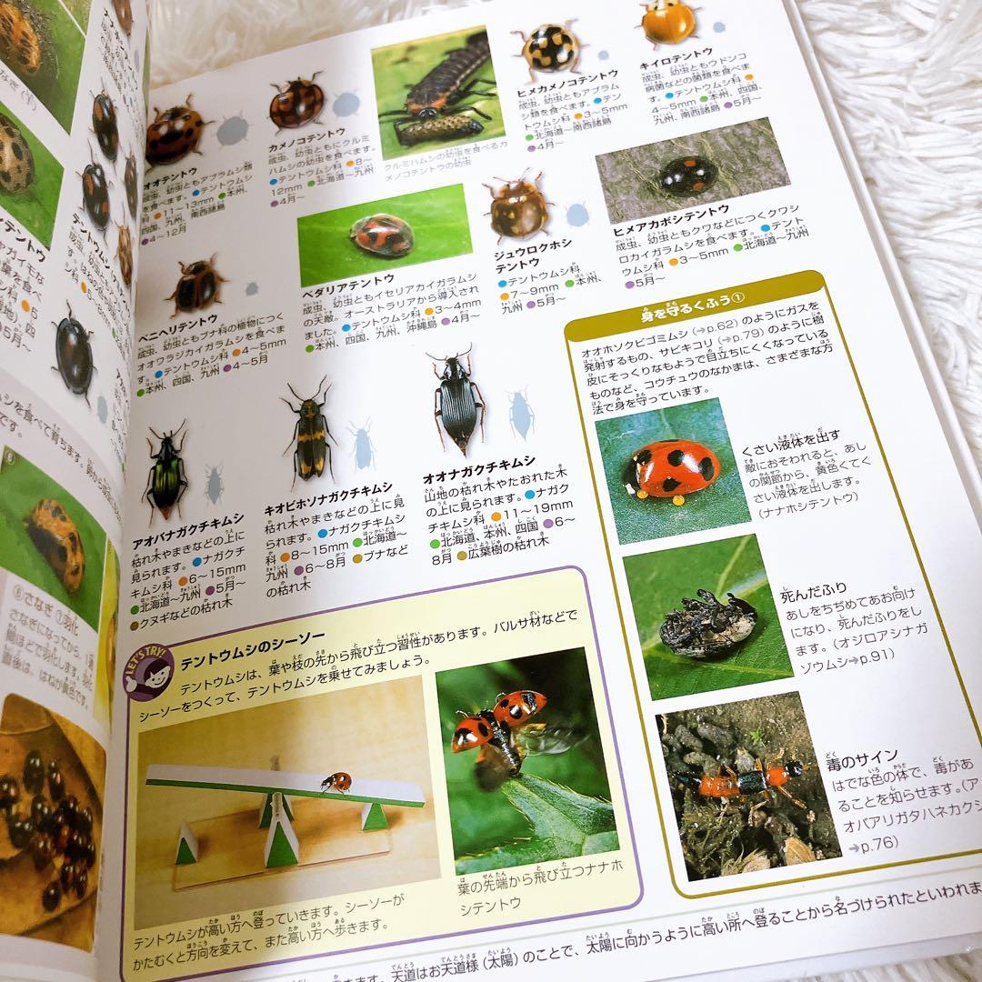 小学館 図鑑NEOシリーズ　プレneo 図鑑　図鑑まとめ　セット　ワンダ　ポプラ