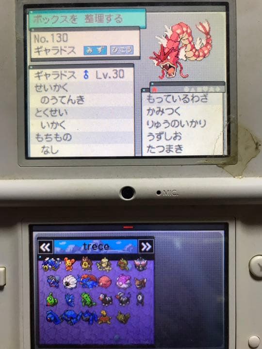【色違い】ポケットモンスター ホワイト