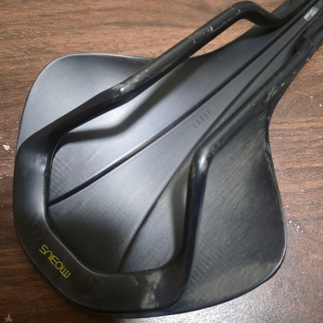 フィジークANTARES VERSUS EVO 00 LARGE カーボンレール