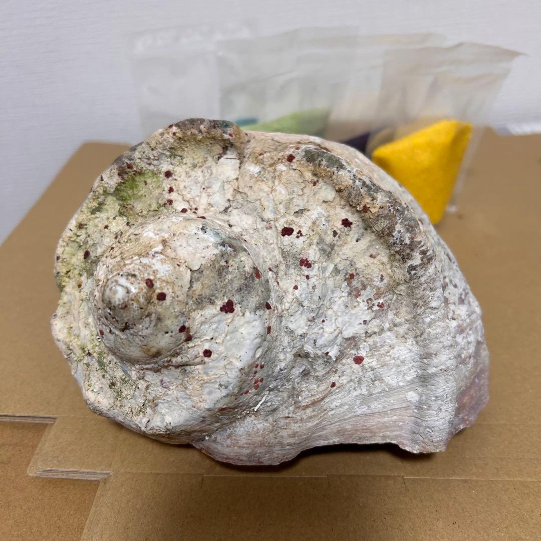 みりちゃん　アンティーク雑貨　お店お受け取り