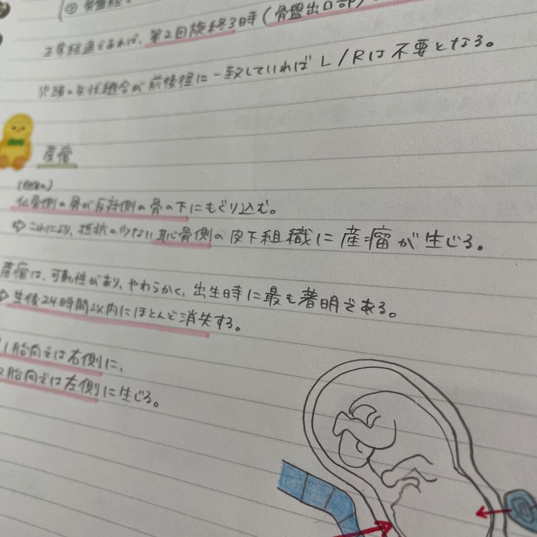 助産師学校セット　まとめノート