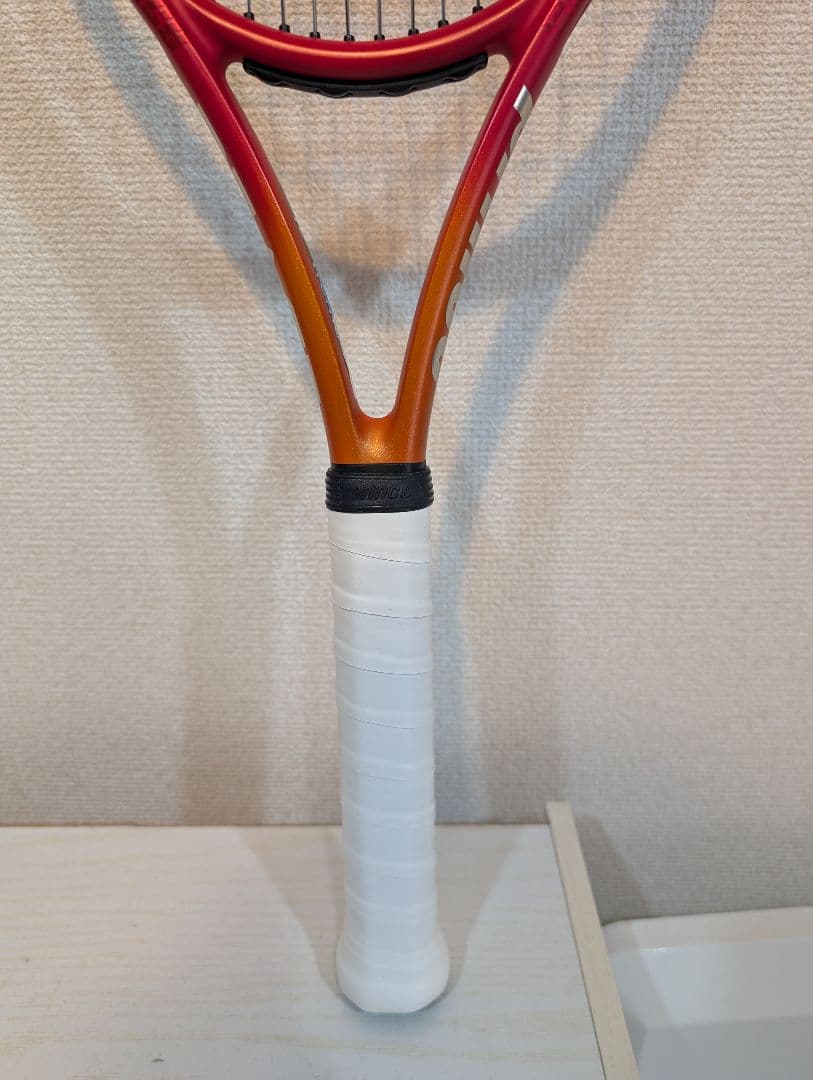 エイジ　プリンス ビースト O3 100 300g G2
