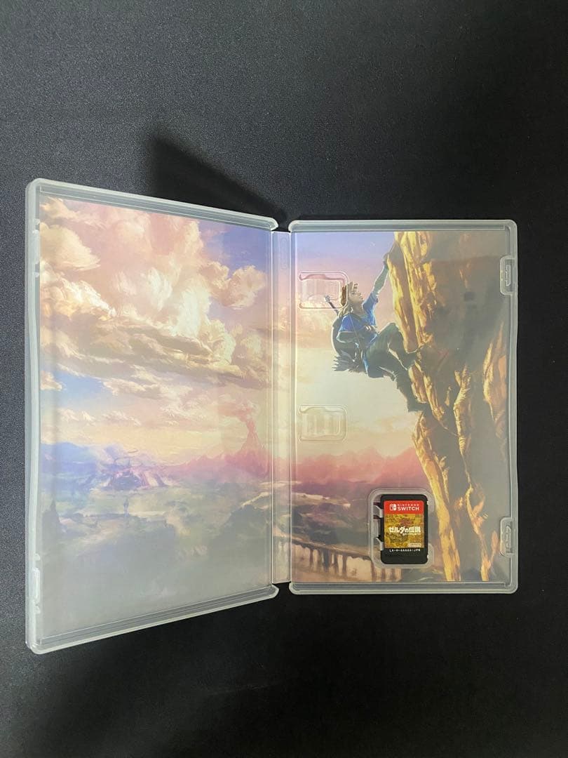 ゼルダの伝説 ティアーズ オブ ザ キングダムブレス オブ ザ ワイルド セット