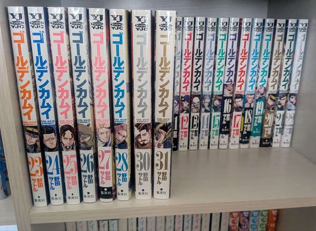 ゴールデンカムイ全31巻(29巻無し）
