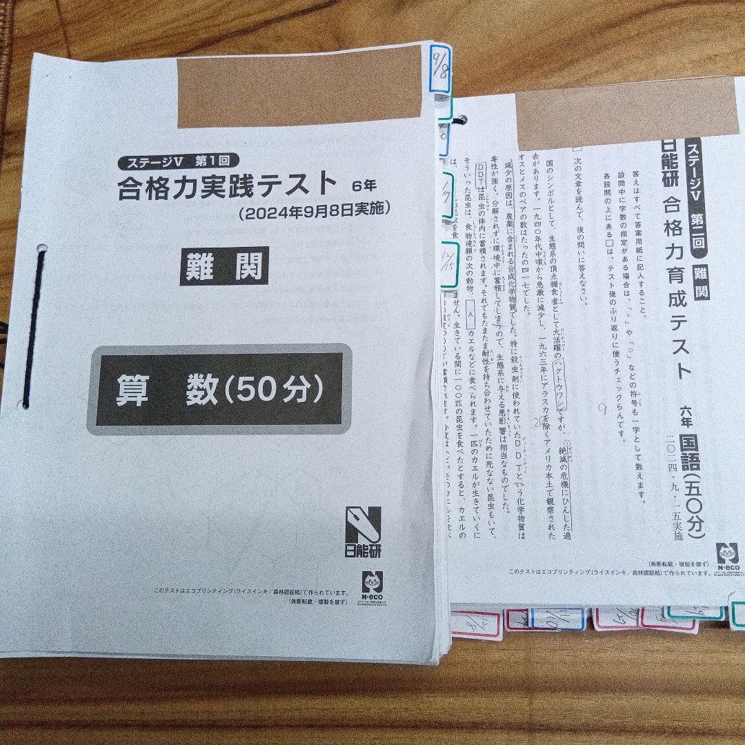 日能研　2024年版　6年後期　育成テスト　合格力実践テスト 　難関