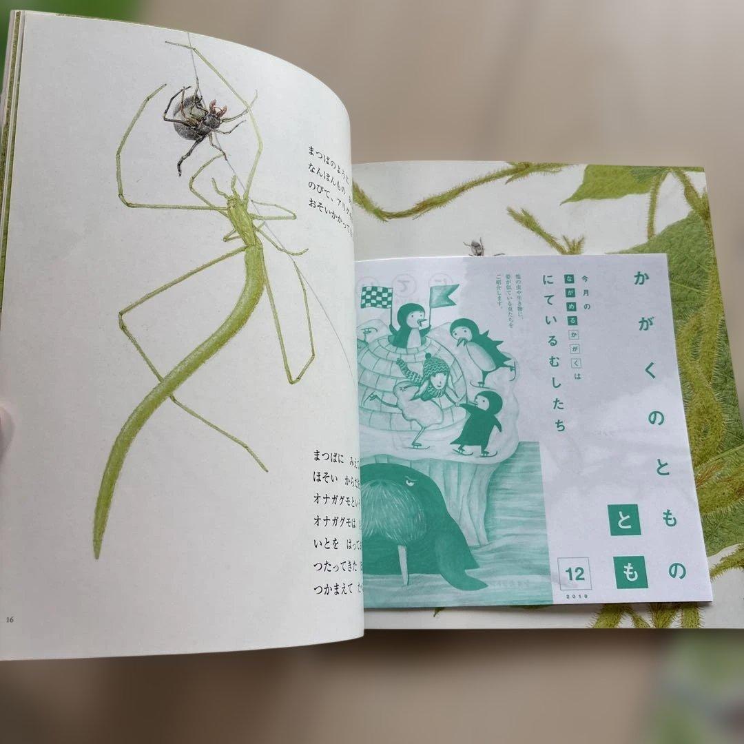 月刊かがくのとも　絵本シリーズ 全26冊