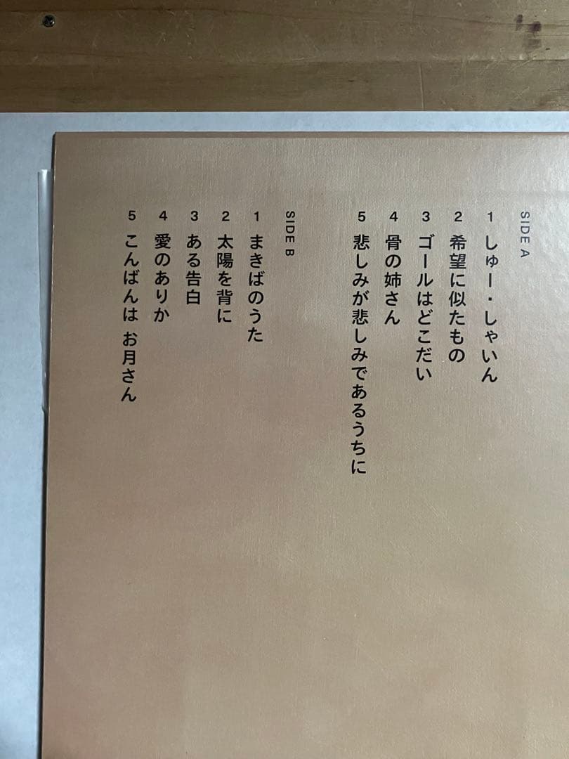 寺尾紗穂 しゅー・しゃいん レコード　中古