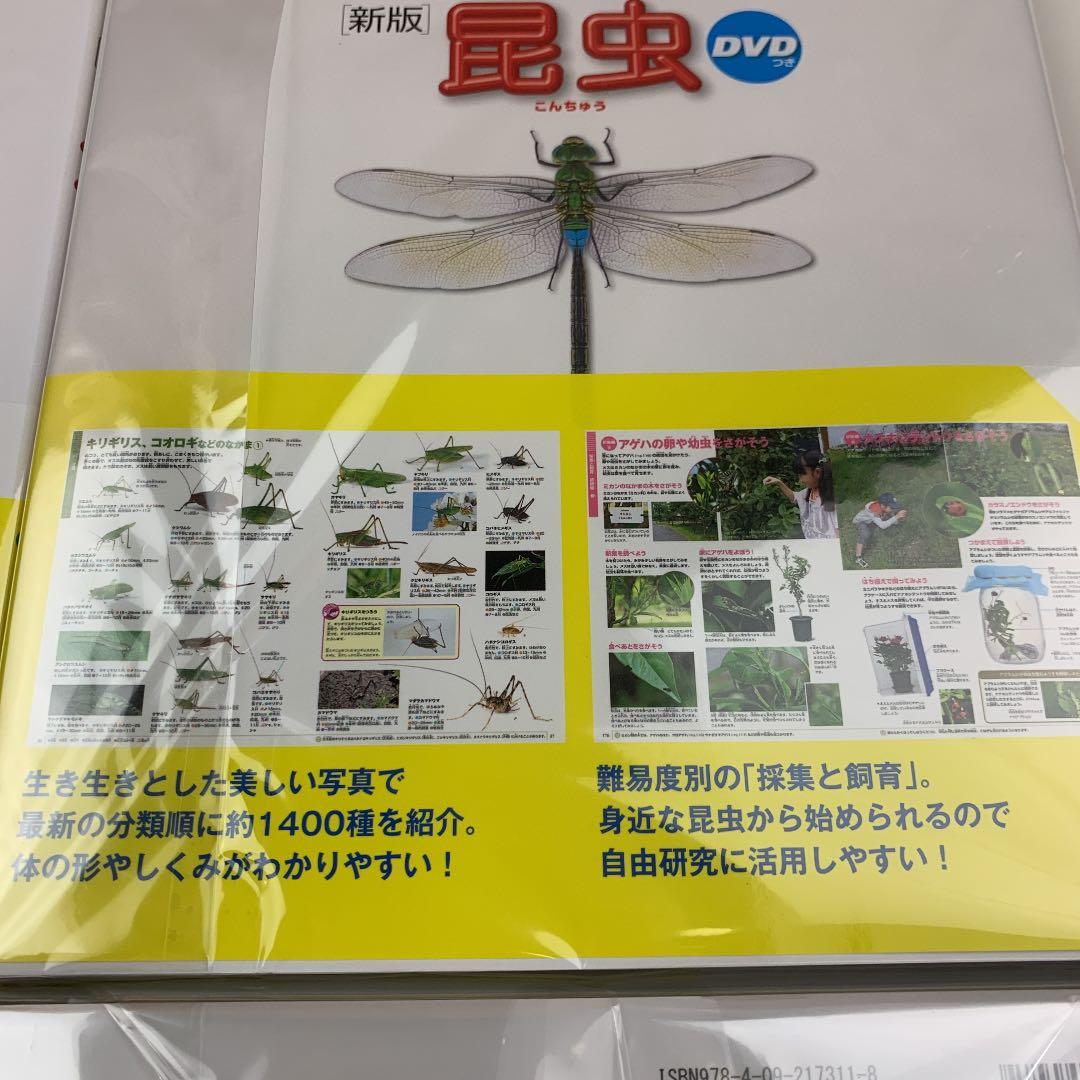 小学館の図鑑NEO 危険生物/乗りもの/恐竜/昆虫DVD付4冊セット未使用新品