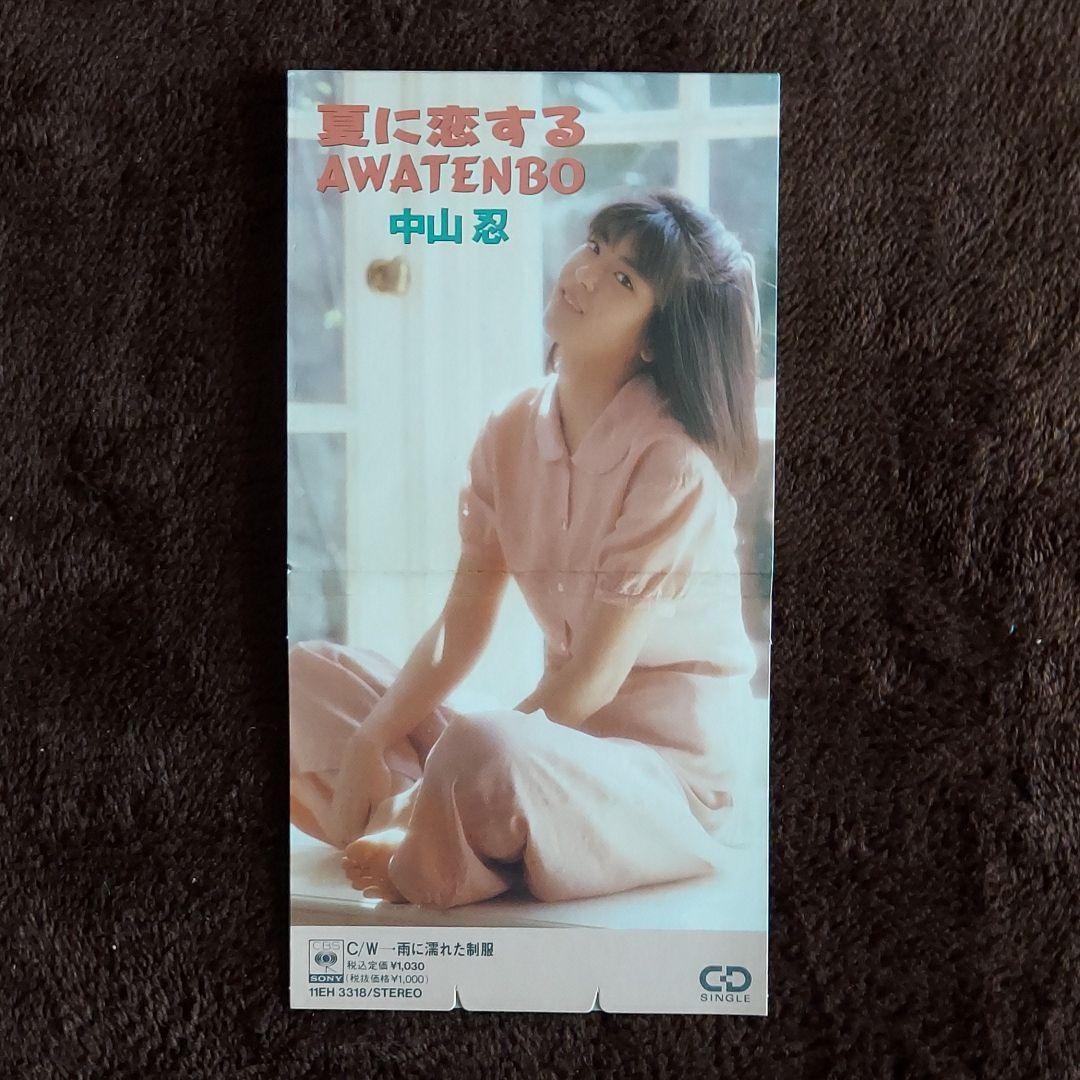 中山忍　夏に恋するAWATENBO