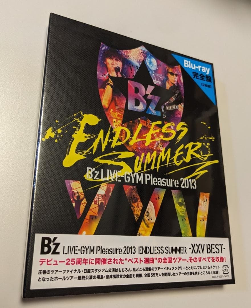 B'z LIVE-GYM Pleasure 2013 ENDLESS～