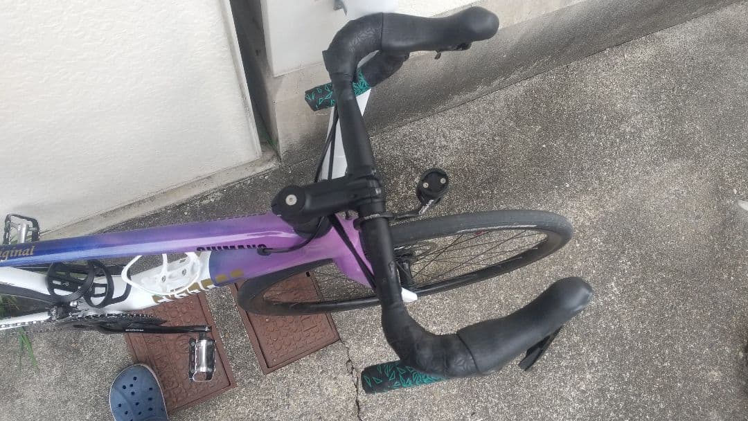 GIANT TCR advanced 崩壊スターレイル ロビン
