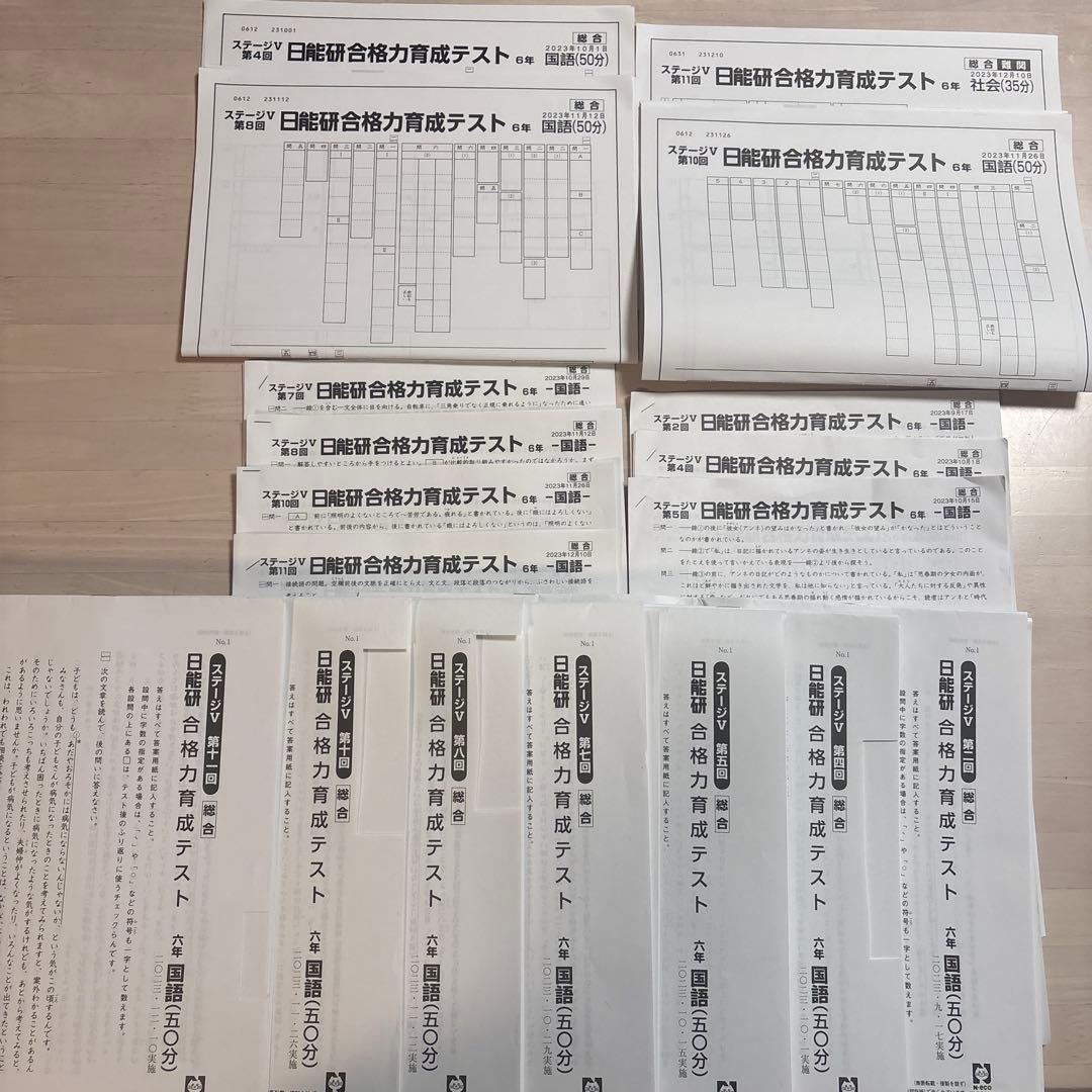 日能研6年　合格力育成テスト　合格力実践テスト　11回分　(うち6回分新品)