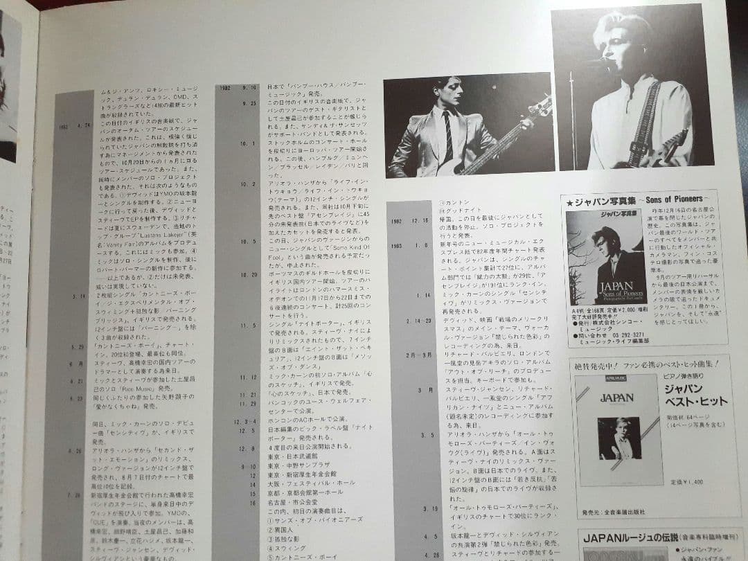 ジャパン　オイルオンキャンバス2LP シルヴィアン