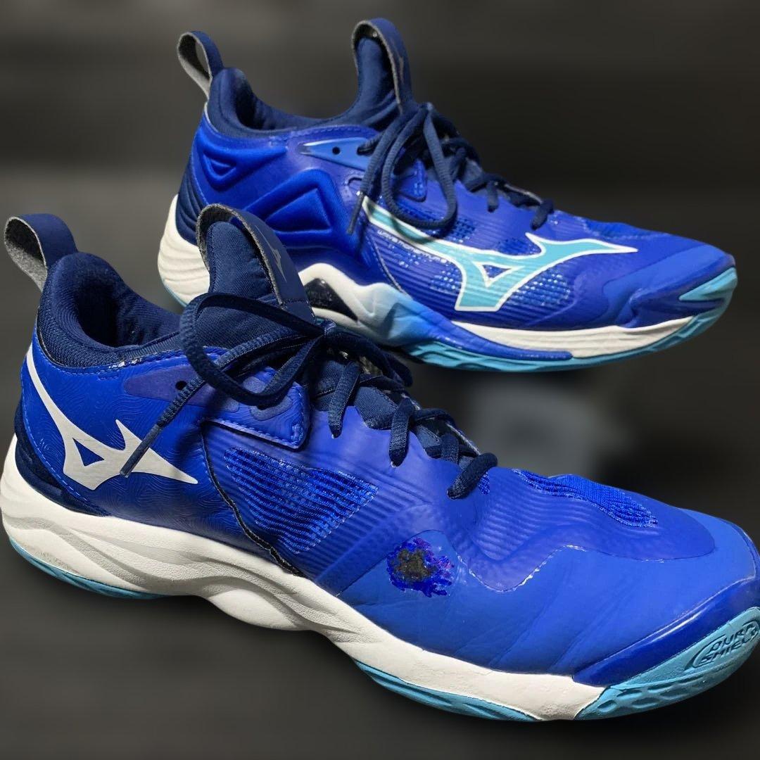 Mizuno Wave Momentum 3 バレーボールシューズ 28センチ