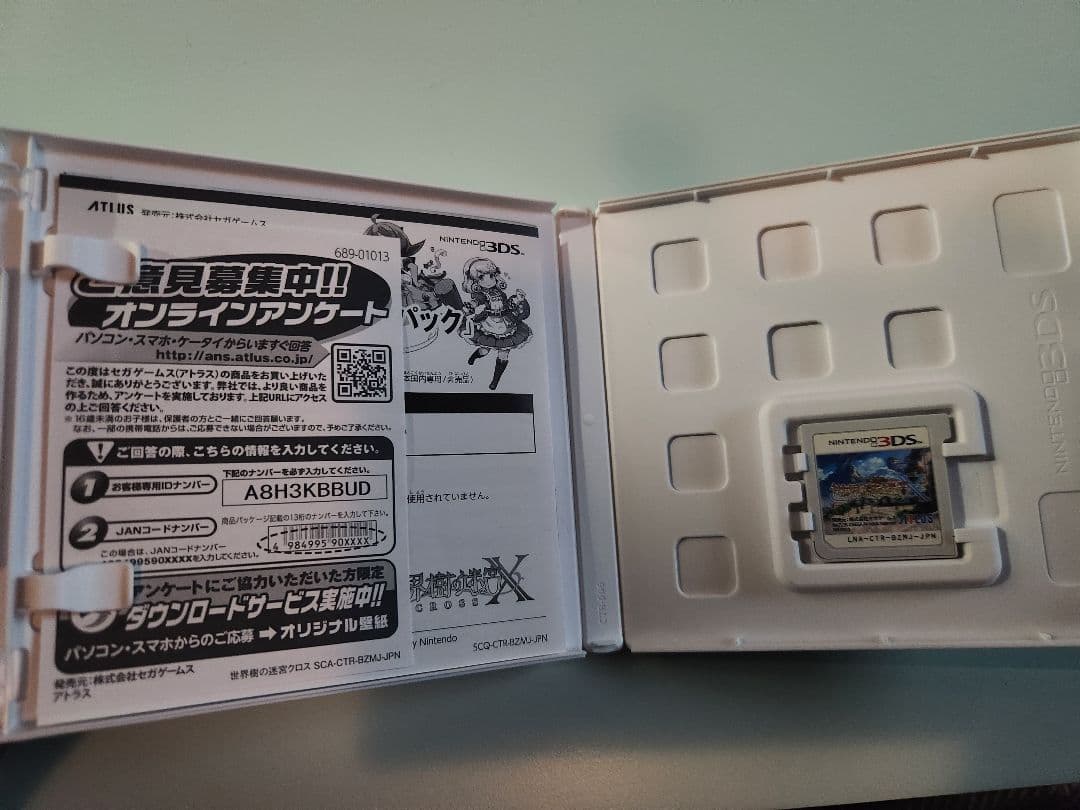 3DS　世界樹の迷宮X　箱説明書付き
