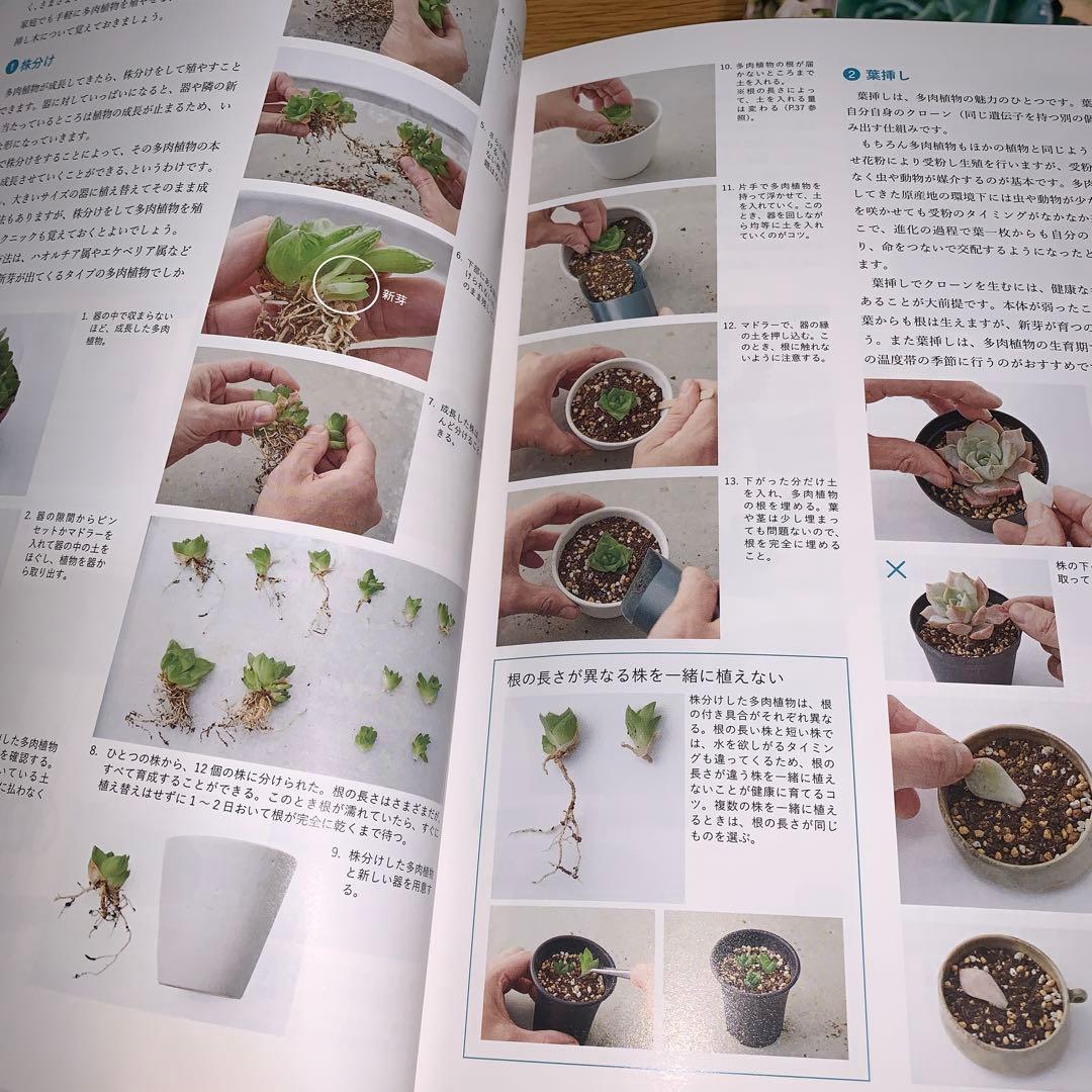 日本園芸協会　植物雑貨クリエイティブ 1-4 + CDセット