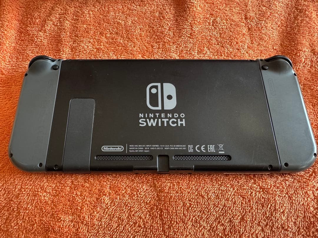 Nintendo Switch グレー 本体 + ACアダプター
