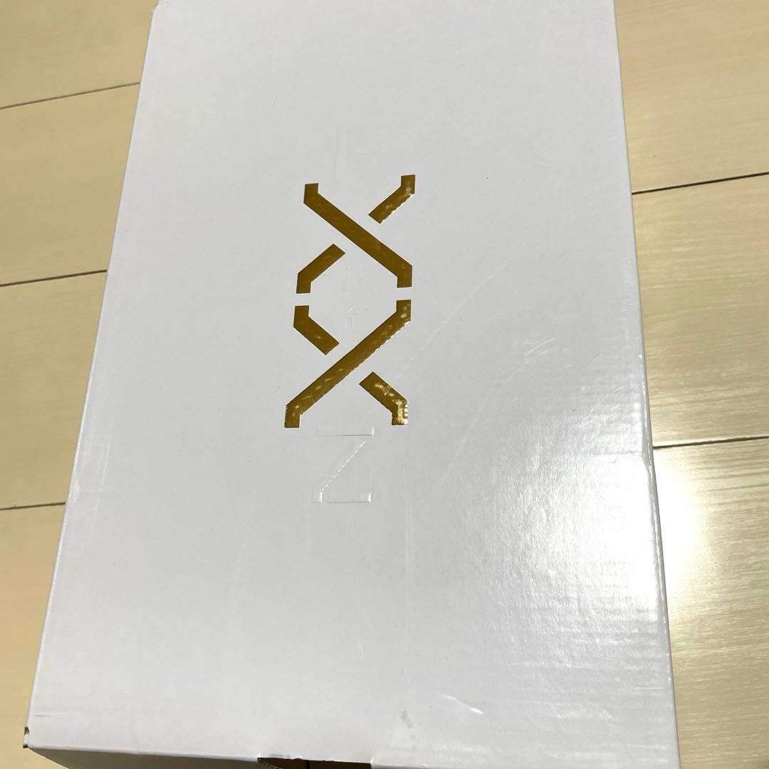ZM LEBRON NXXT GEN バッシュ　NIKE バスケ
