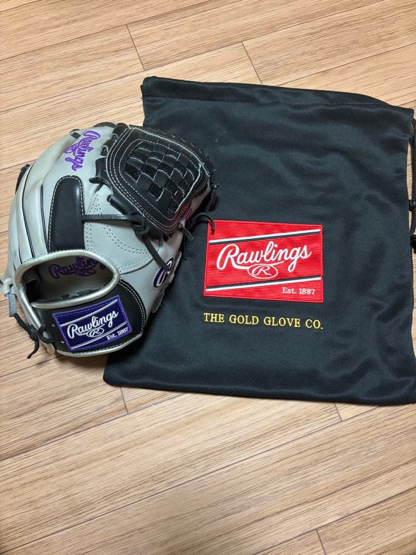 Rawlings ゴールドグローブ グレー 専用袋付き