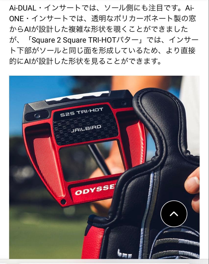 Square 2 Square TRI-HOT JAILBIRDパター　長さ34