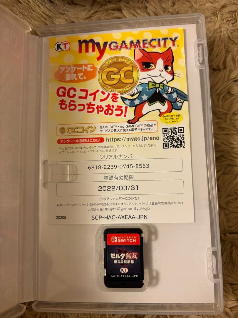 H ゼルダ無双 厄災の黙示録 Nintendo Switch
