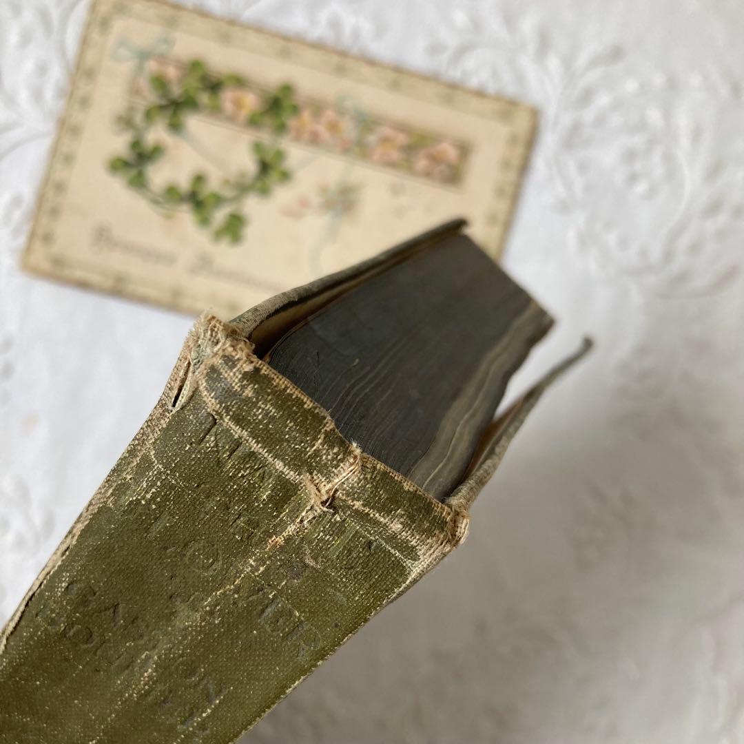 L932 洋書古書　1925年発行　繊細な植物画が美しいアンティーク植物図鑑