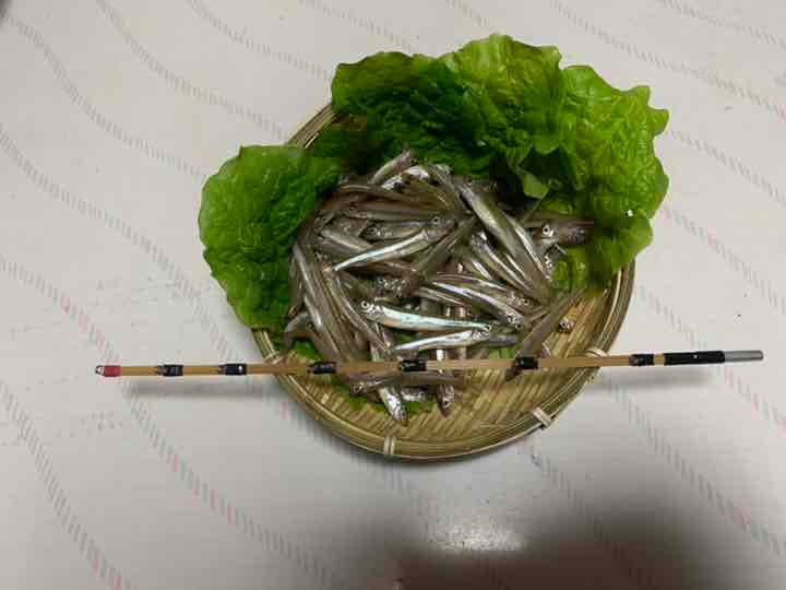 新商品　竹ワカサギ穂先
