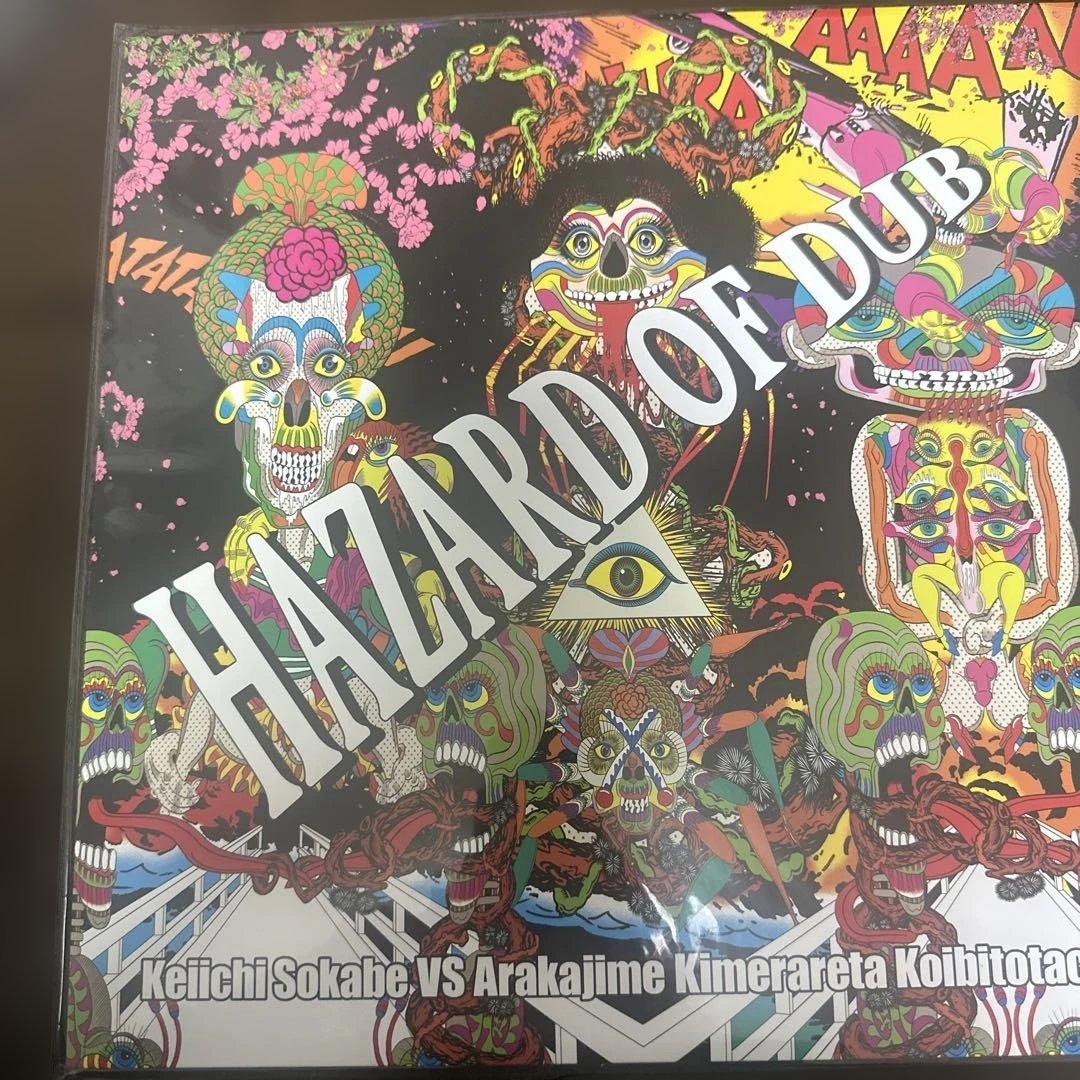 曽我部恵一HAZARD OF DUB レコード