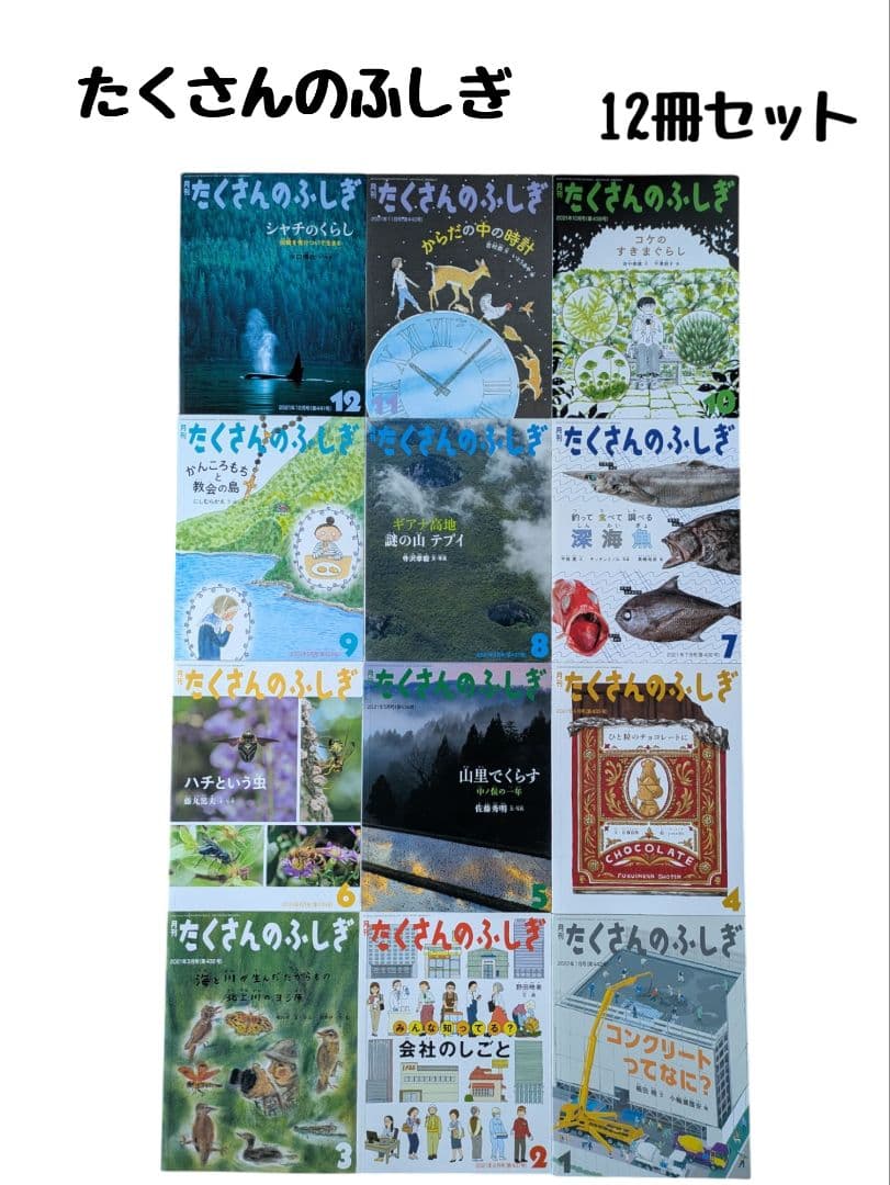 たくさんのふしぎ 福音館書店 12冊セット まとめ売り