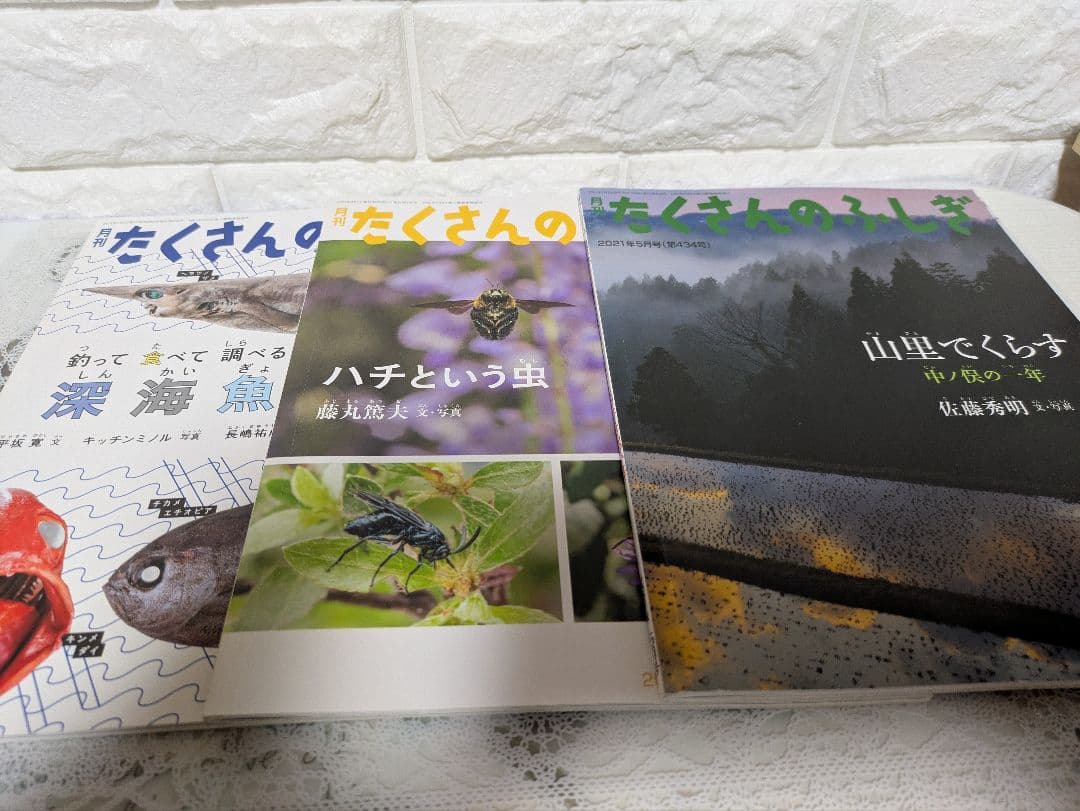 たくさんのふしぎ 福音館書店 12冊セット まとめ売り