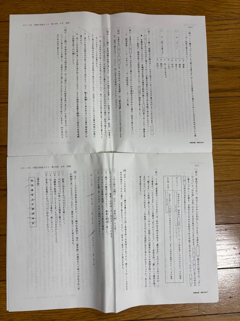 日能研学習力育成テスト　5年　6年　2024年