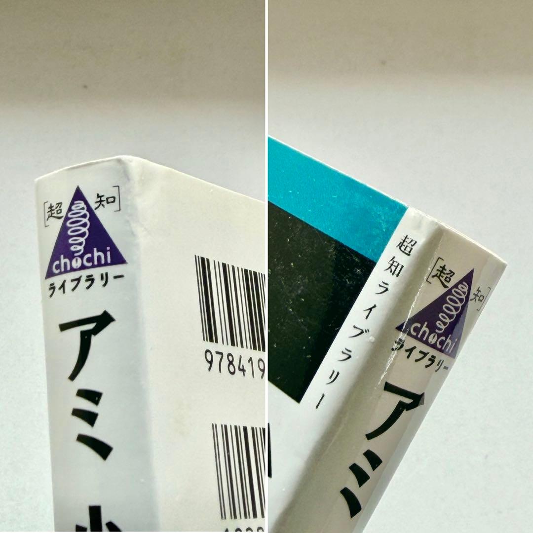アミ 小さな宇宙人