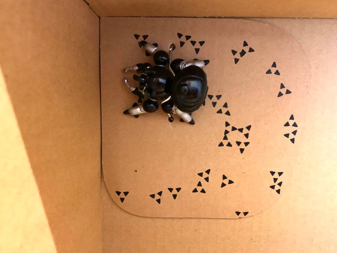 超レア 攻殻機動隊 SOLID BOX 美品現状品