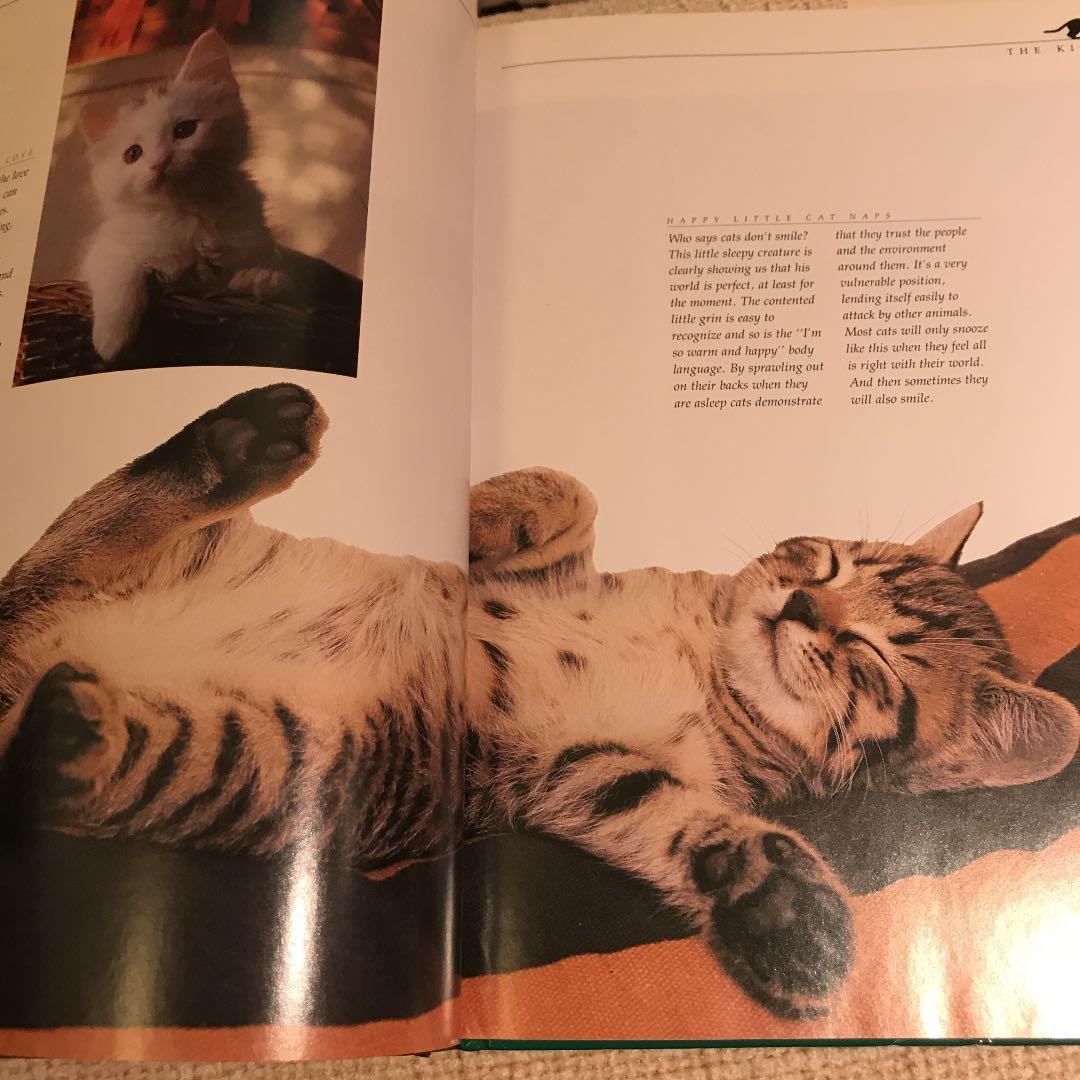 洋書  CATS life