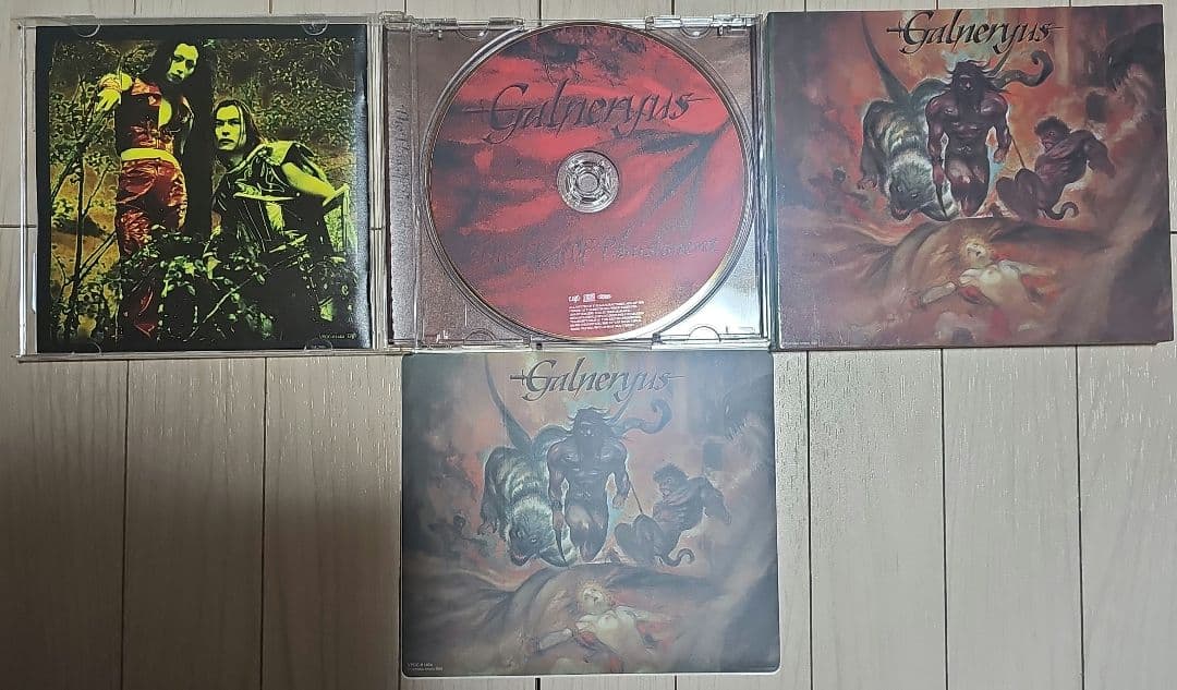 GALNERYUS/CD10枚　DVD3枚(ワンオーナー品)