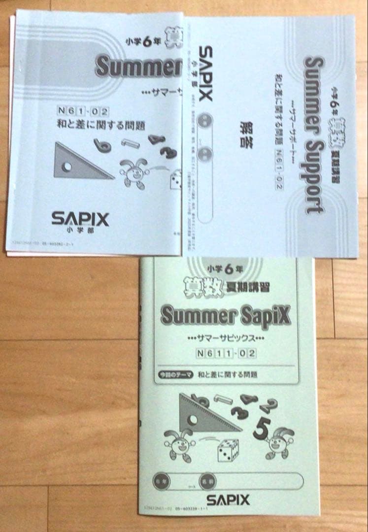 SAPIX6年生サマーサピックス全部