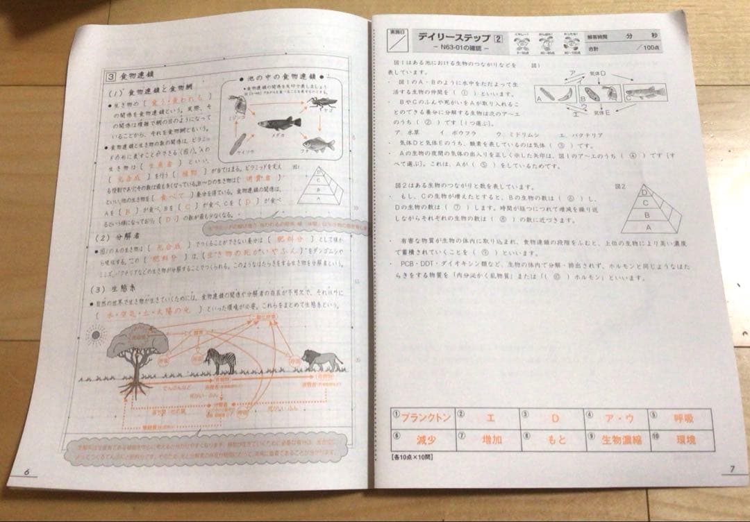 SAPIX6年生サマーサピックス全部