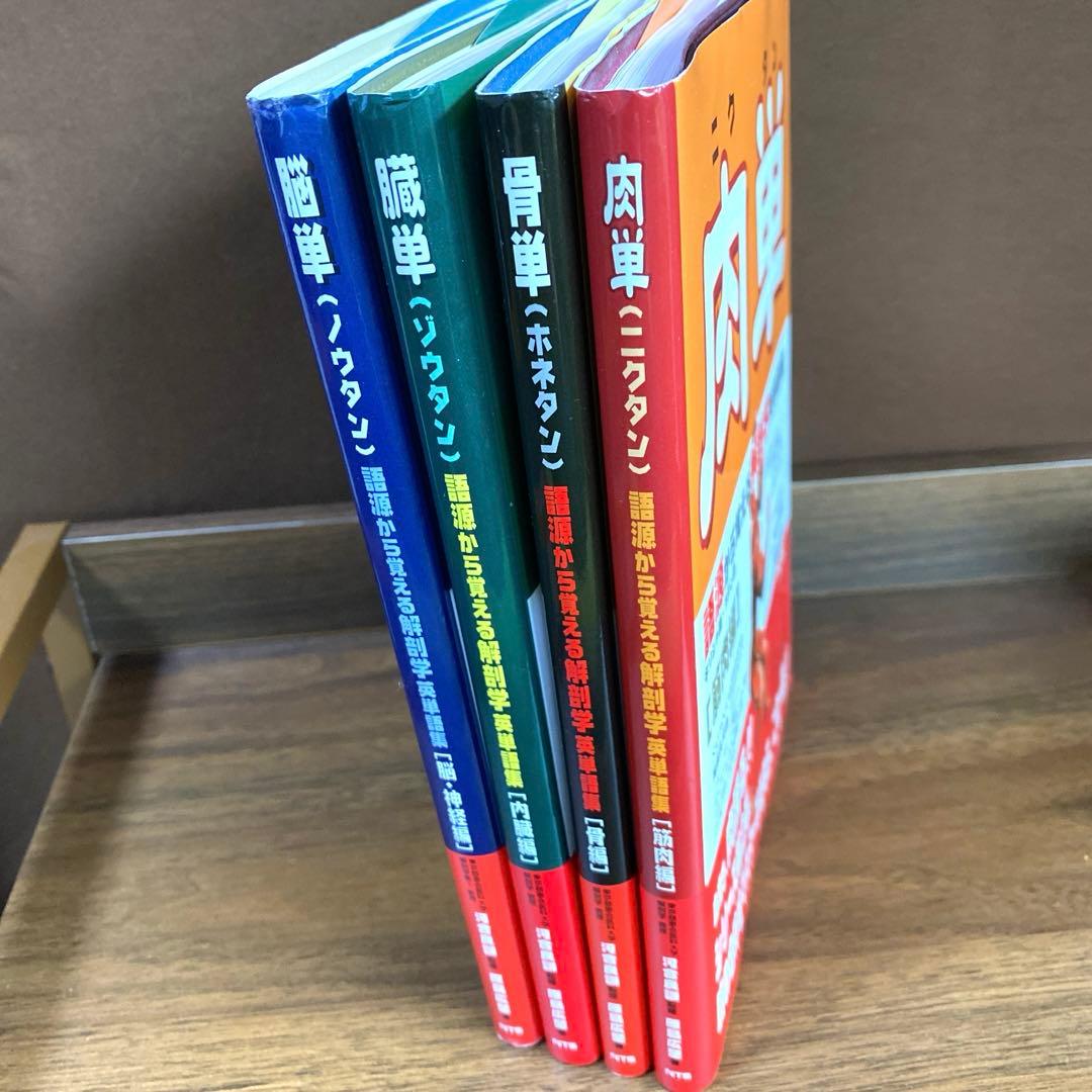 解剖学単語シリーズ 4冊セット　肉単　骨単　臓単　脳単
