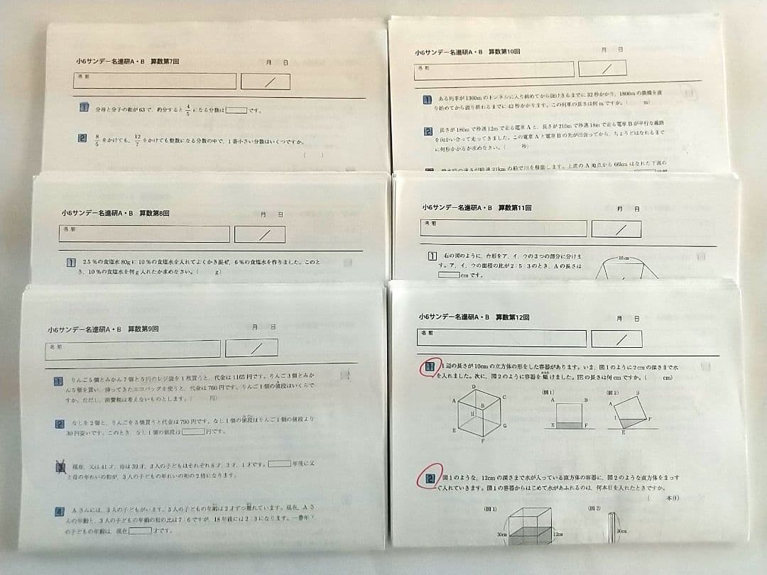 小6　サンデー名進研　第7回～第12回　中学受験　名進研