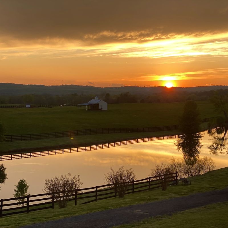 UNDERSTANDING ALKALINITY 